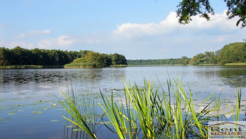 Działka Sprzedaż Warnice