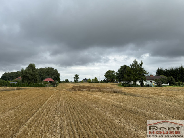 Działka Sprzedaż Kolonia Maszewo