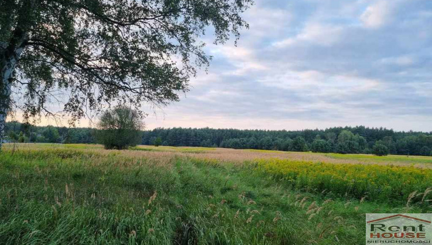 Działka Sprzedaż Szczecin Wielgowo Żywiczna