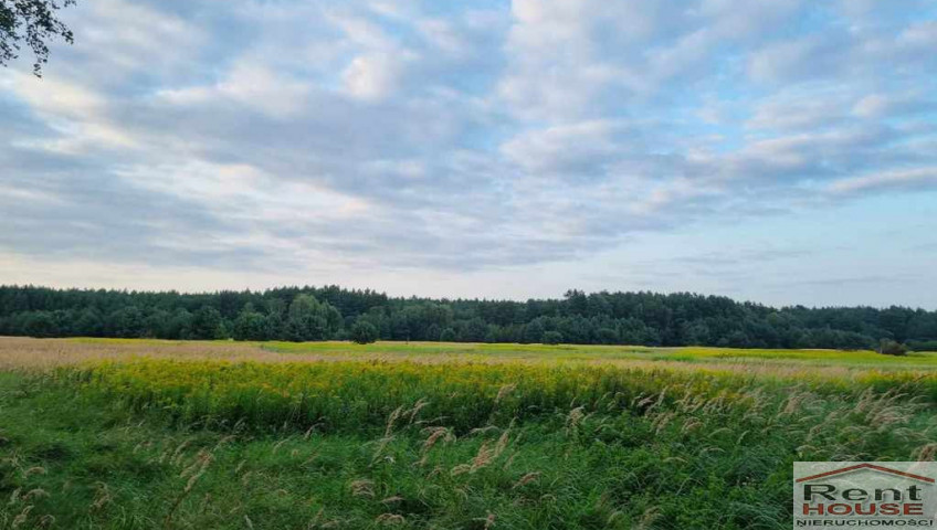 Działka Sprzedaż Szczecin Wielgowo Żywiczna