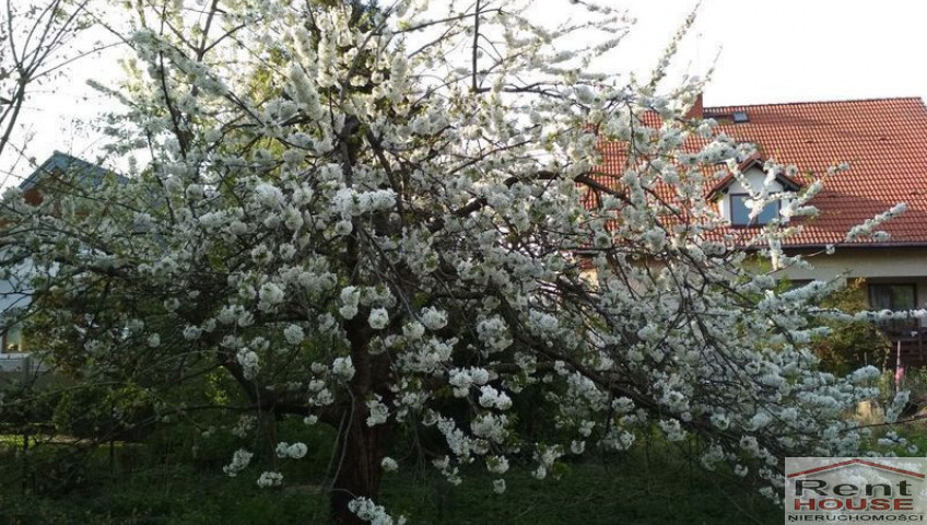 Działka Sprzedaż Szczecin Pogodno