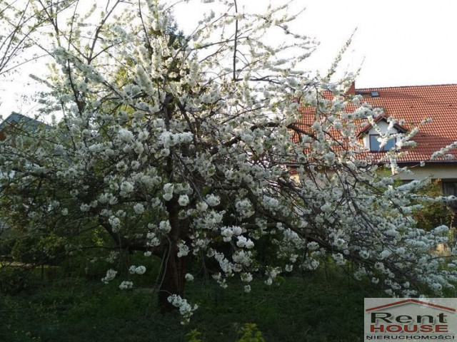 Działka Sprzedaż Szczecin Pogodno