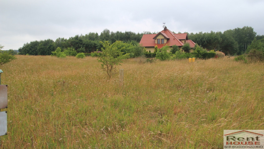 Działka Sprzedaż Charzyno