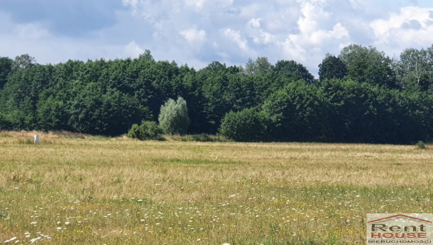 Działka Sprzedaż Dobropole Gryfińskie