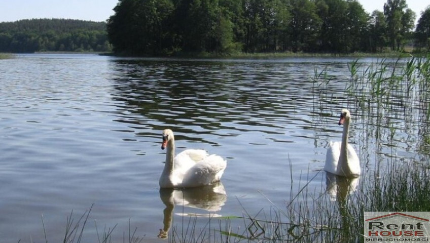 Działka Sprzedaż Zabierzewo