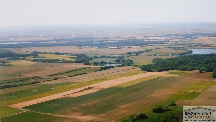 Działka Sprzedaż Kołowo