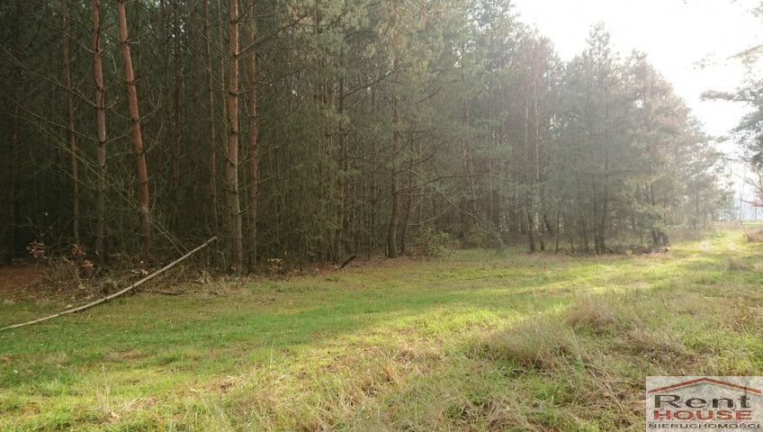 Działka Sprzedaż Starzyce