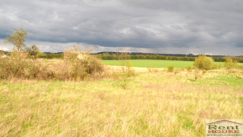 Działka Sprzedaż Binowo