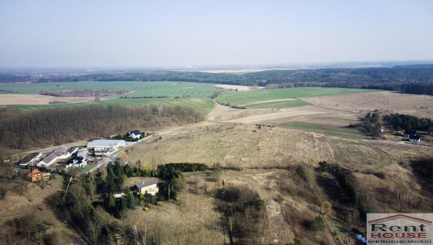 Działka Sprzedaż Czepino