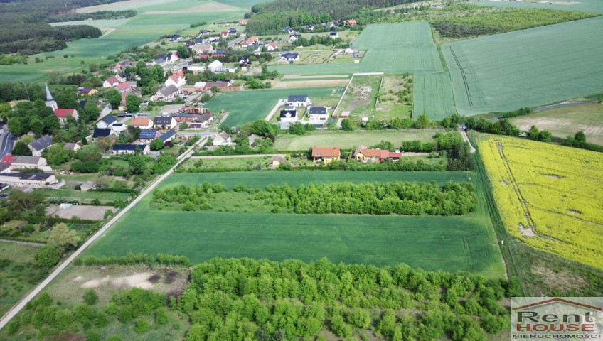 Działka Sprzedaż Bielkowo