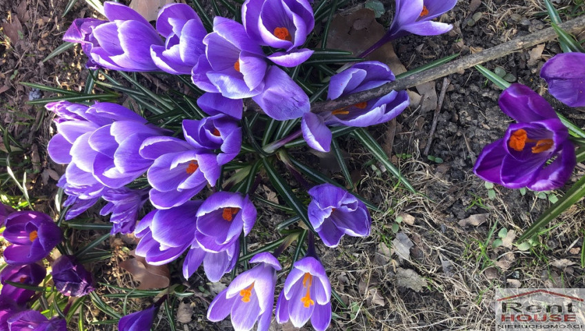 Działka Sprzedaż Szczecin Bezrzecze