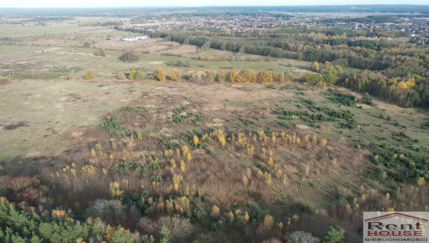 Działka Sprzedaż Buk