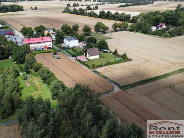 Działka Sprzedaż Warnice