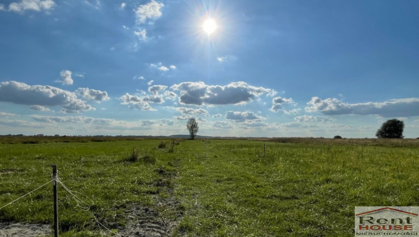 Działka Sprzedaż Wierzbno