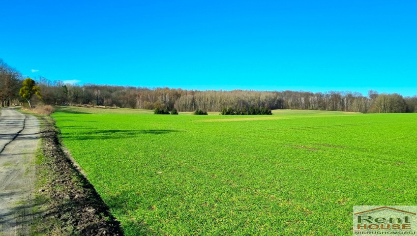 Działka Sprzedaż Kołowo