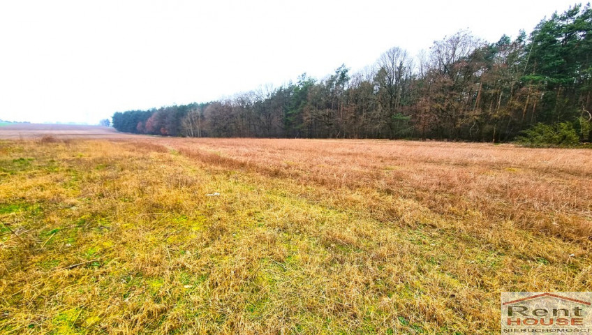 Działka Sprzedaż Żarowo Polna