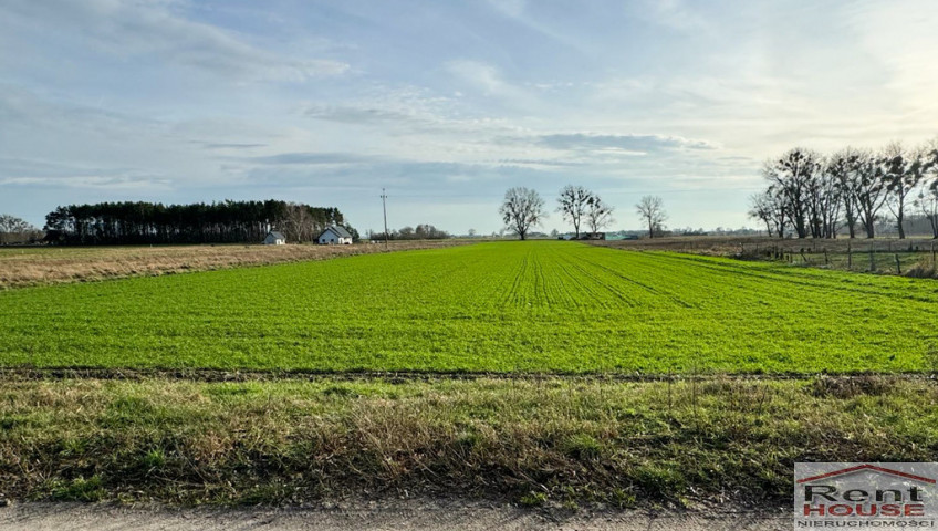 Działka Sprzedaż Borzysławiec