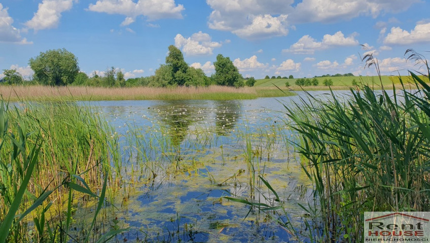 Działka Sprzedaż Zieleniewo