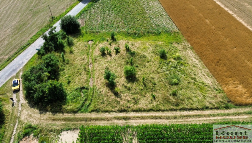 Działka Sprzedaż Nieborowo