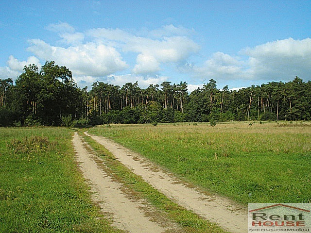 Działka Sprzedaż Kościno