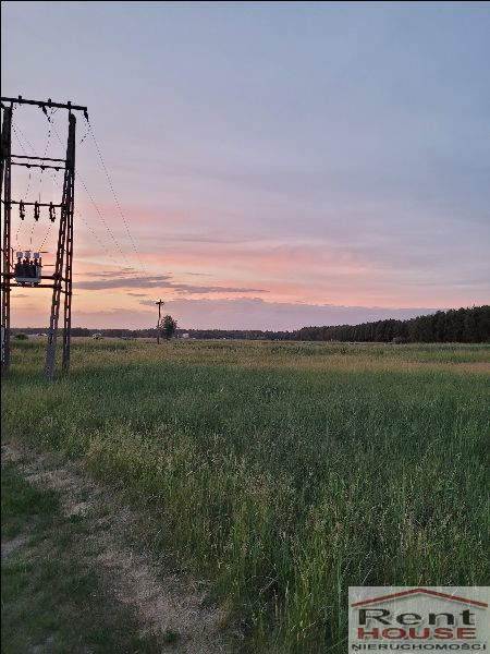 Działka Sprzedaż Lubczyna