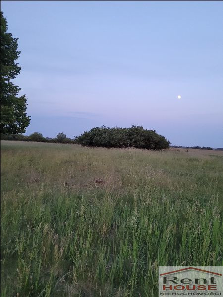 Działka Sprzedaż Lubczyna