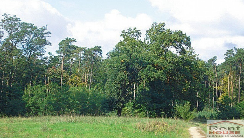 Działka Sprzedaż Kościno