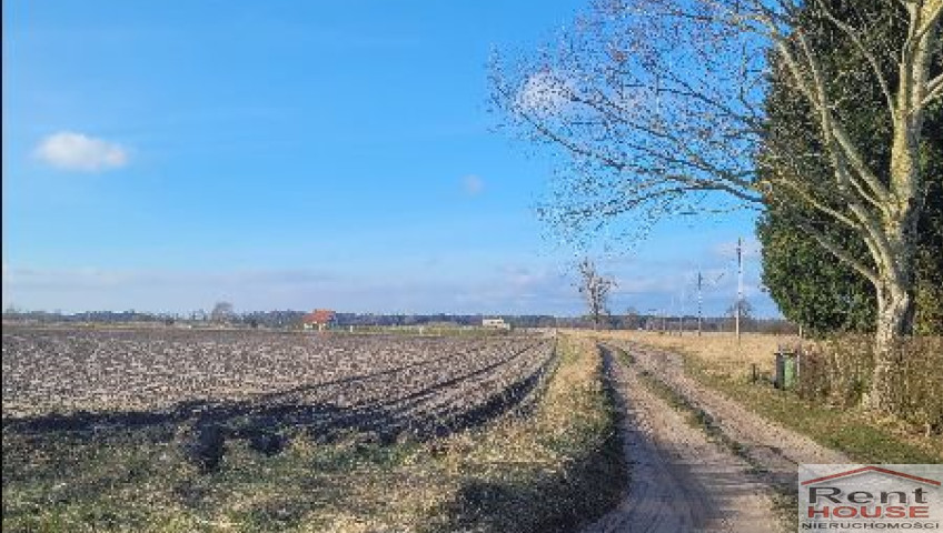 Działka Sprzedaż Lubczyna