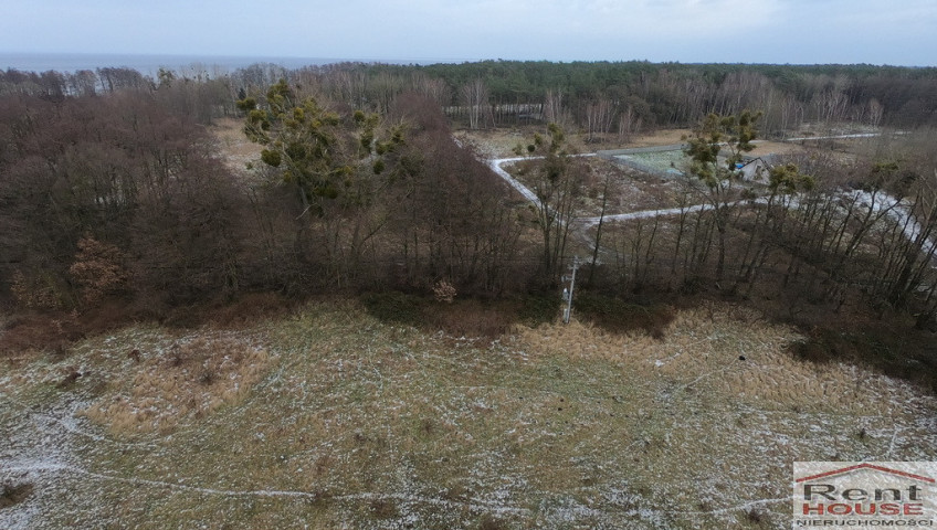 Działka Sprzedaż Brzózki